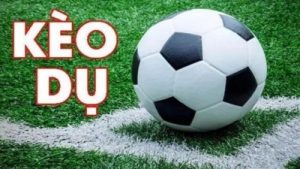 Kèo dụ – Kinh nghiệm cược thông minh cho người mới bắt đầu