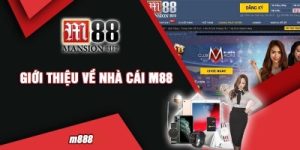 M88 – Nhà cái cá cược với nhiều ưu đãi tặng thưởng tốt nhất